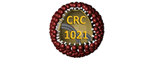 CRC 1021 Logo