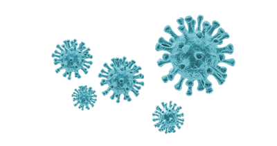 3D Visualization of a Virus